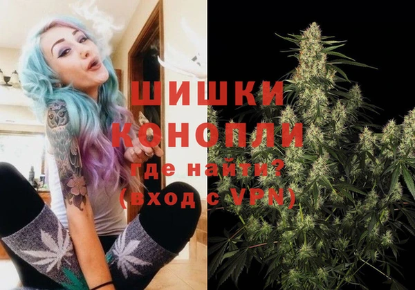 ПСИЛОЦИБИНОВЫЕ ГРИБЫ Нея