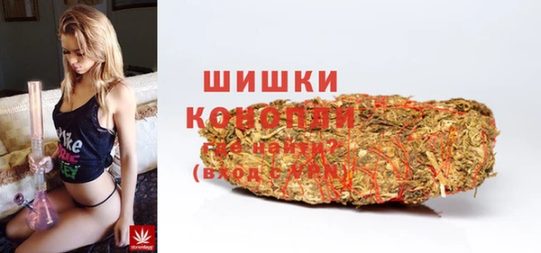 ПСИЛОЦИБИНОВЫЕ ГРИБЫ Нея