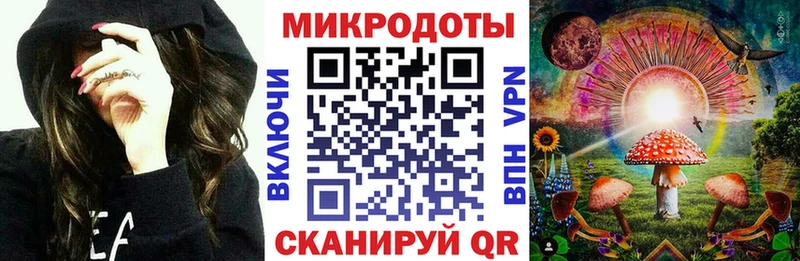 Галлюциногенные грибы Psilocybe Новая Усмань